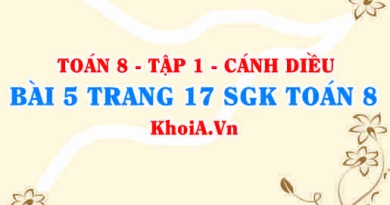 Bài 5 trang 17 SGK Toán 8 tập 1 Cánh Diều